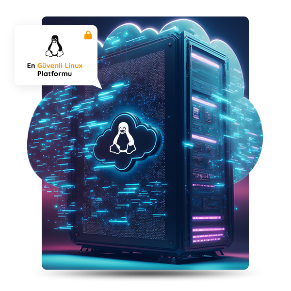 Web Hosting Paketleri